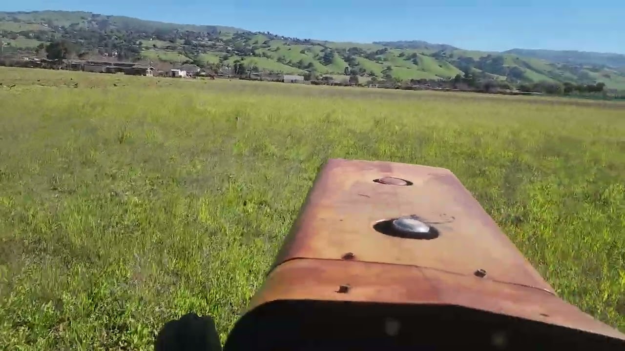 Chasing Bunnys  in Morgan hill ca,95037