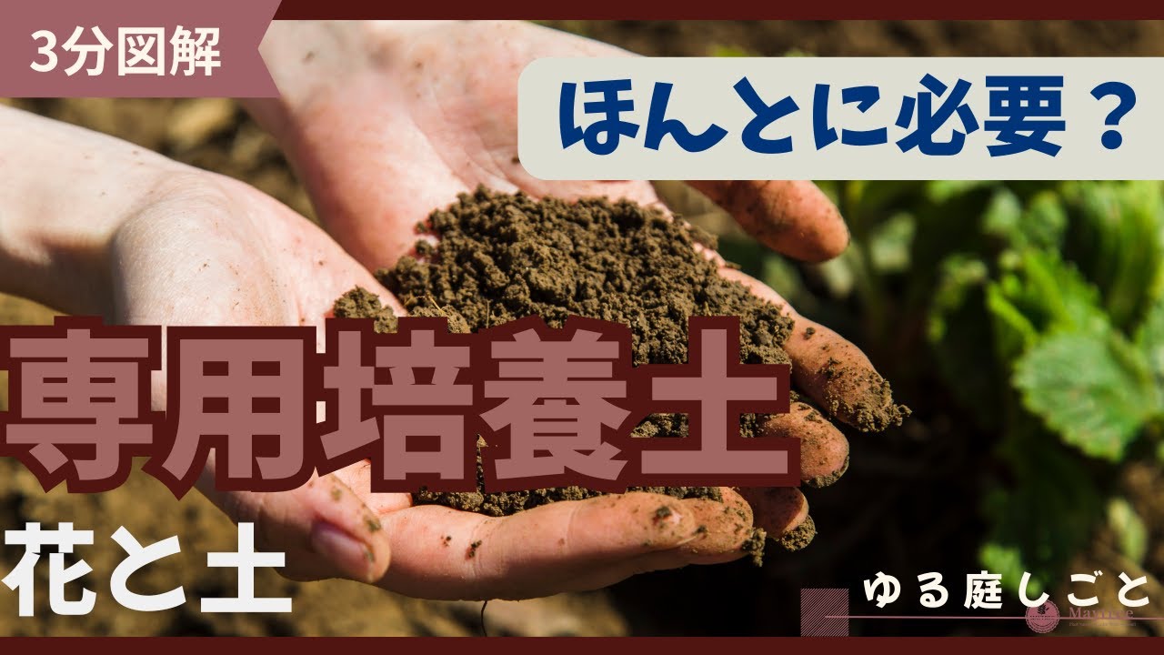 専用培養土じゃないとダメ？花が育つ土づくりのひみつ