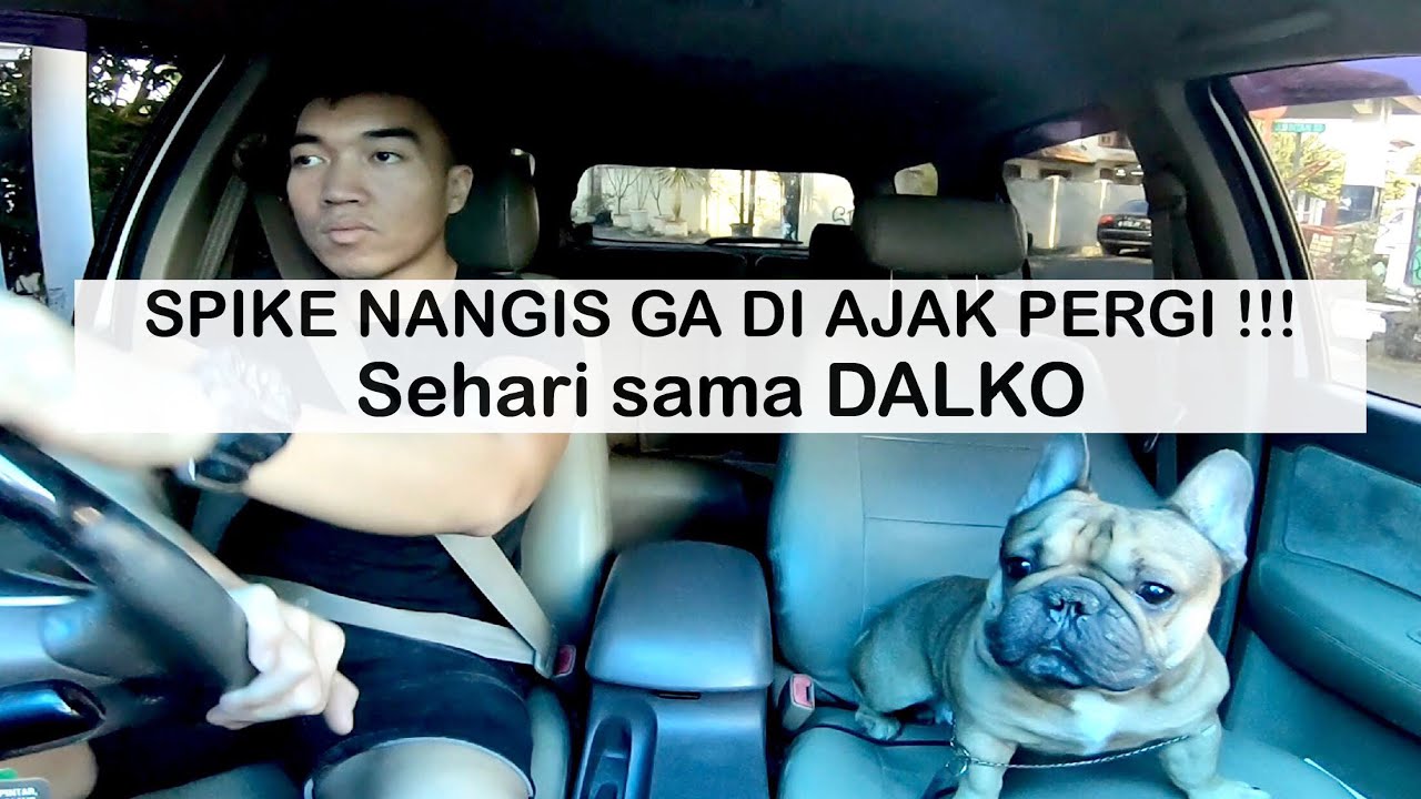 SPIKE NANGIS ga ikut DALKO jalan jalan -VLOG