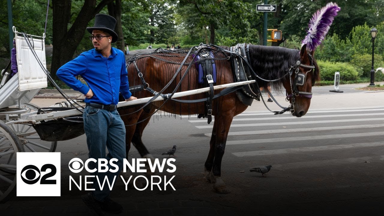 NYC Mayor Eric Adams says it's time to ban carriage horses