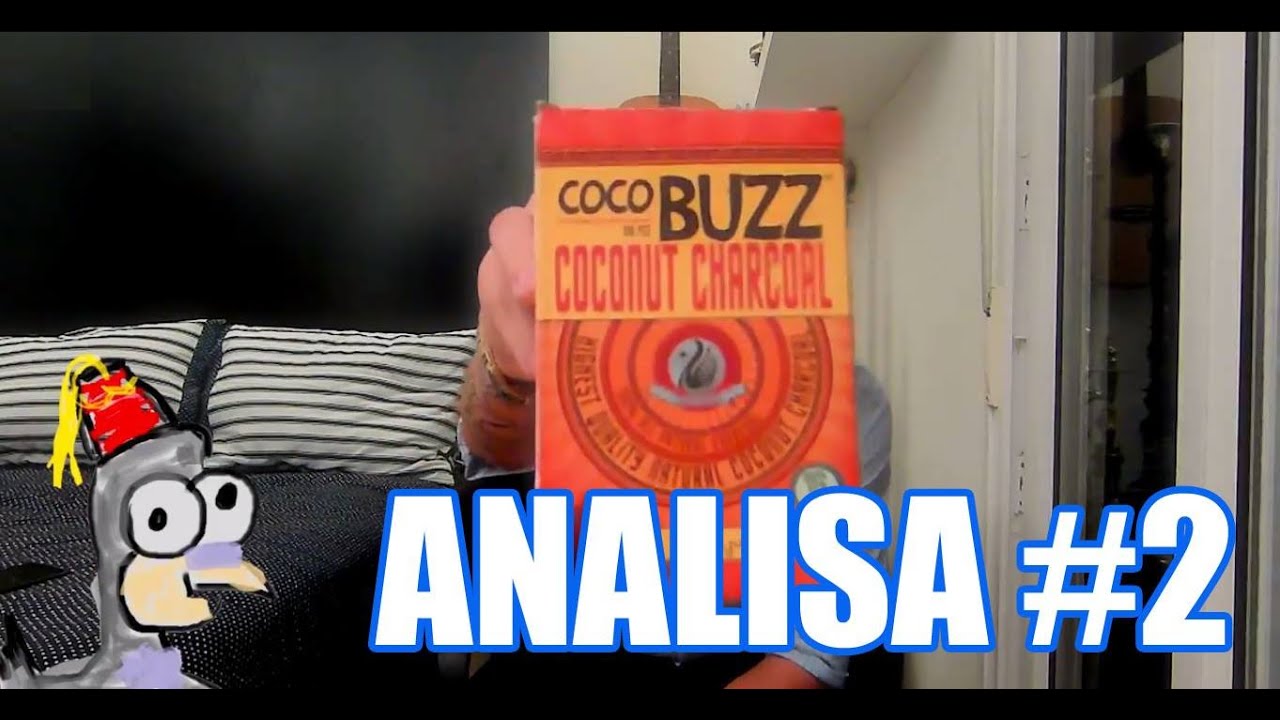 Pombo Analisa #2 - Cocobuzz