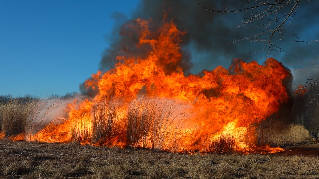 Crews Fight Fire with Fire - Brush Trucks & Tankers Rush to Contain Massive Field Fire