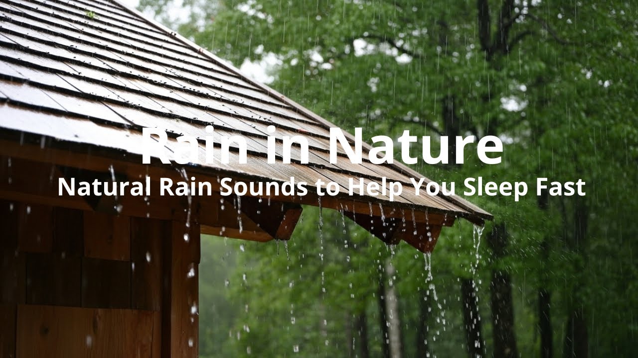 Natural Rain Sounds to Help You Sleep Fast | Calm Rain Sounds | Peaceful Sleep Night