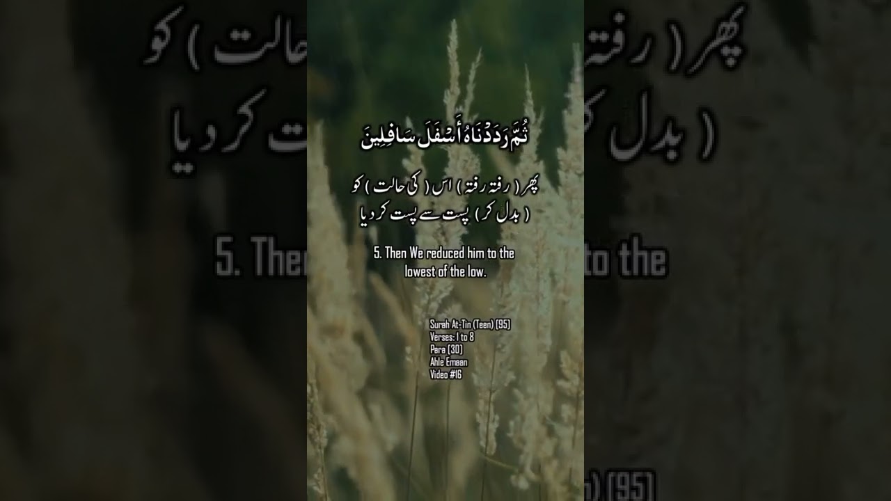 Quran translation in Roman  Urdu/Urdu tarjuma#shorts