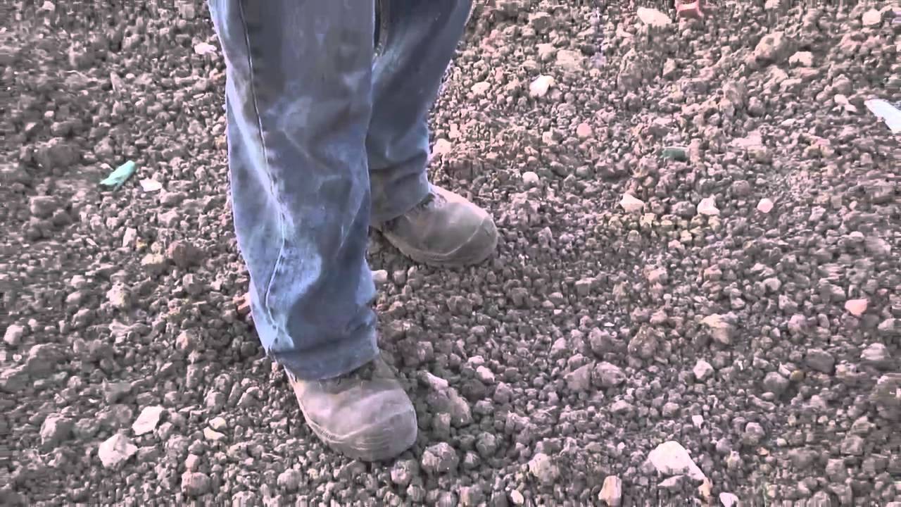 20120226 Seca agricultura Ti Mafra fala sobre a seca saloiatv saloios