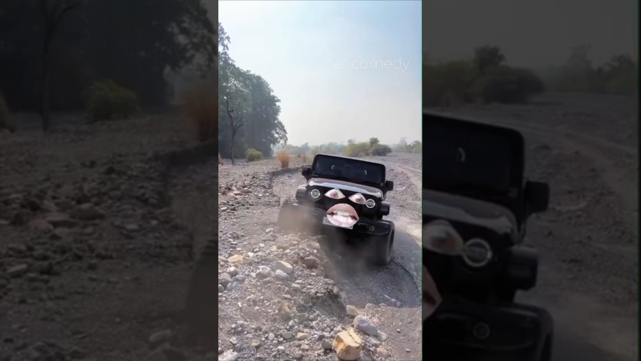 Thar off roading #carcomedy #funnyvideo #mahaindrathar #thar #shortsfeed