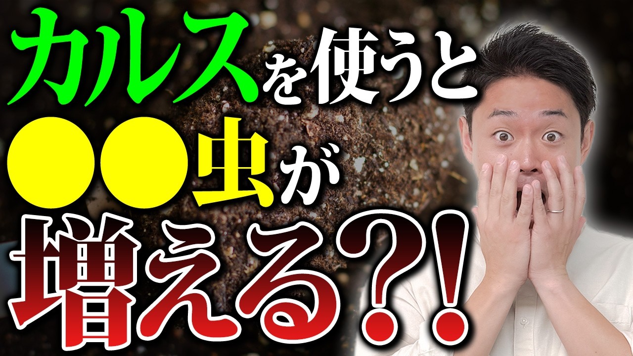 最近増えた気がするのはカルスを使ったからかも？発生メカニズムと留意点を解説！【家庭菜園 土づくり ガーデニング ダンゴムシ対策】
