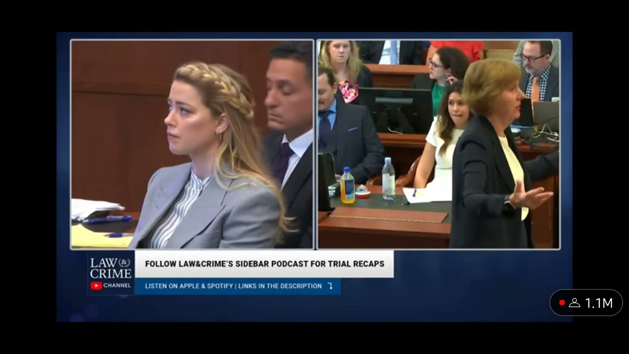 Elaine Bredehoft's Closing Argument for Amber Heard
