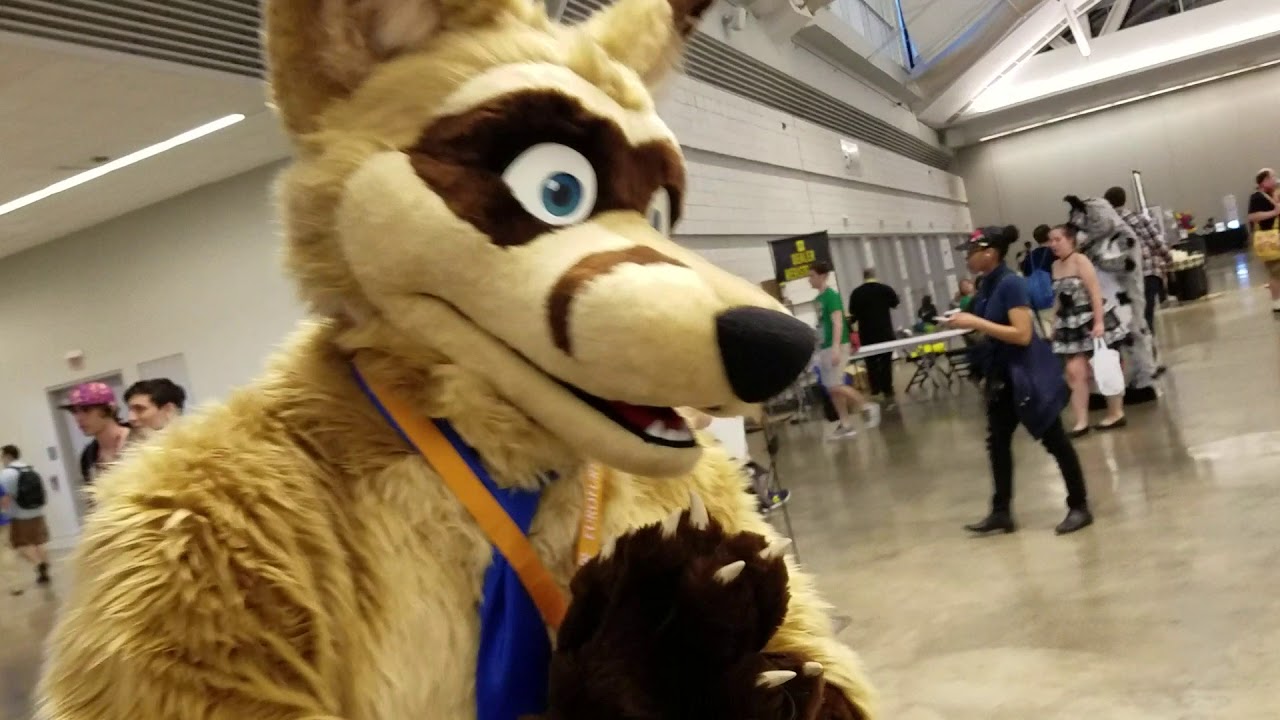Anthrocon 2018: IS FUR AFFINITY DOWN
