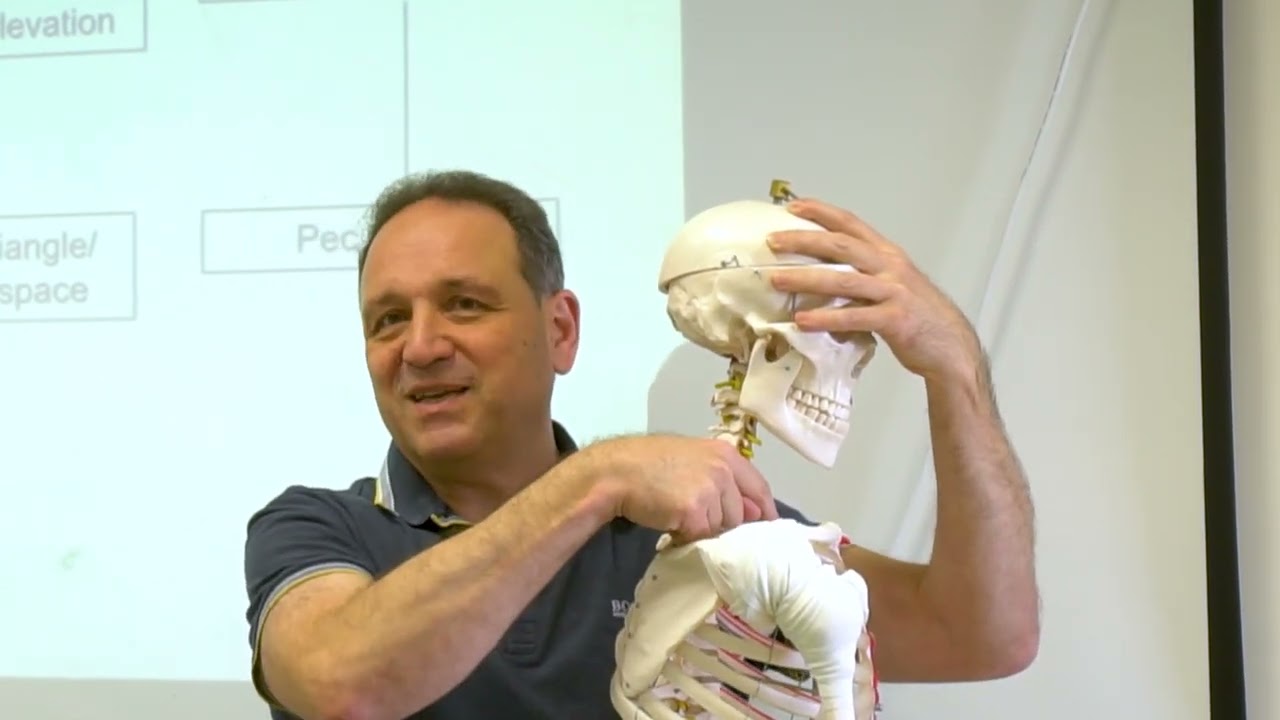 איך מחפשים מקור לחולשה של שריר שהתגלתה בבדיקה הנוירולוגית של הגפה העליונה