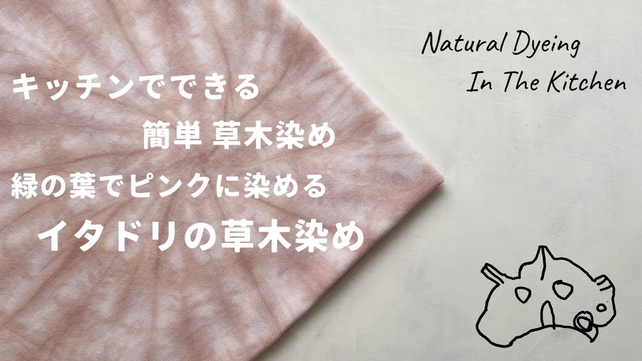 「緑の葉っぱでピンクに染める 虎杖 イタドリ染め」キッチンでできる草木染め 第十九弾