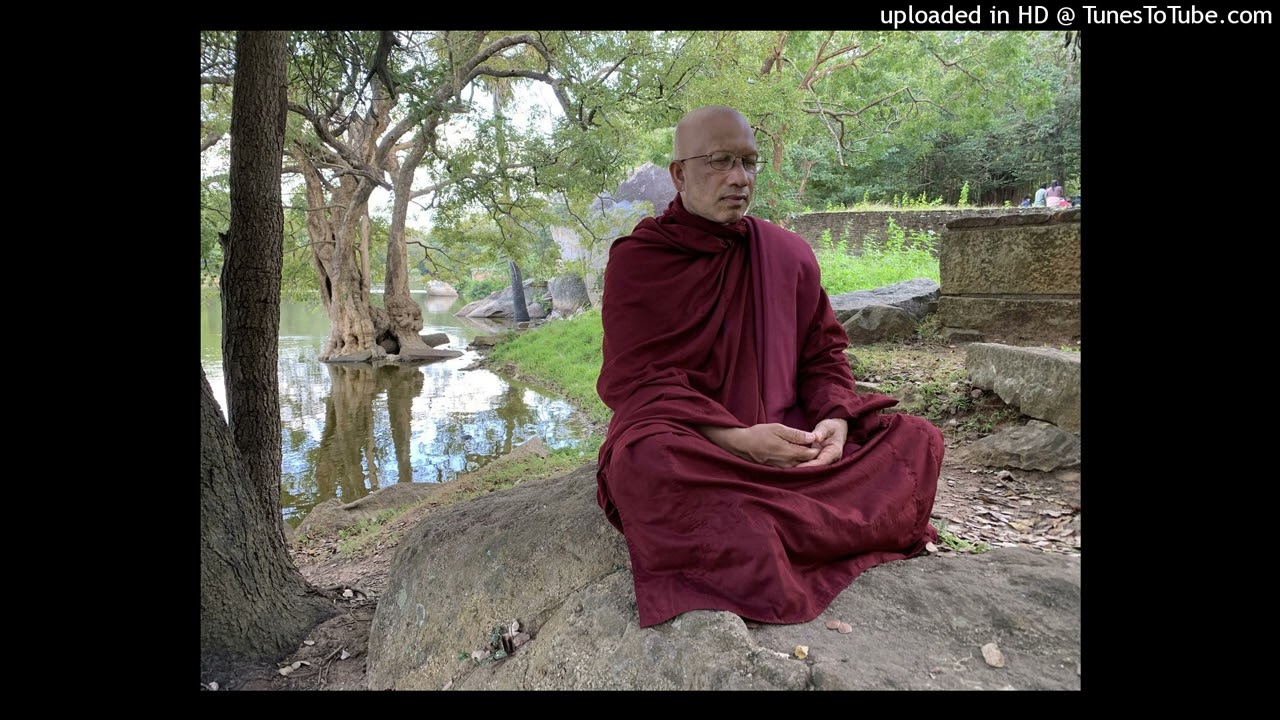 Guided Meditation with Vietnamese Translation (3.13.2022) . By Bhante Seelananda from VIMA- USA