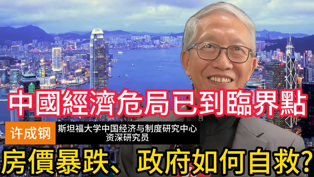 【许成钢深度警示】房价暴跌、失业激增，政府如何自救? 中国经济危局已到临界点 #中国经济 #经济危机 #内忧外困 #结构性问题 #地方债务 #失业率 #内需不足 #中国楼市 #房地产 #房价趋势