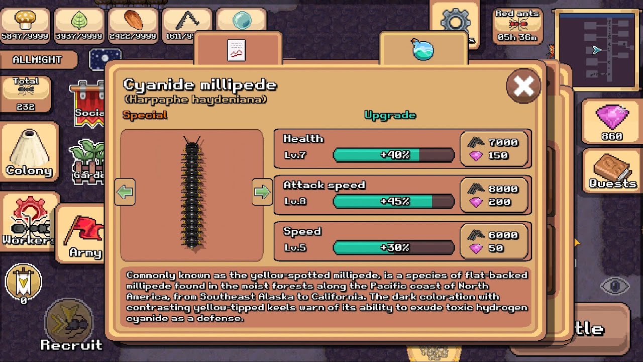 Pocket Ants #34 - The 4th Anniversary Event 2024 - Cyanide millipede in Battle