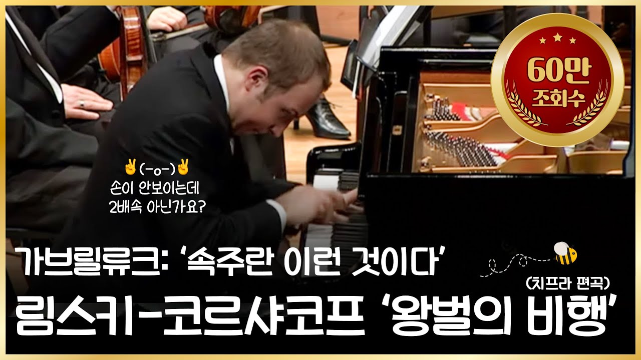 [60만🎉] N. Rimsky-Korsakov - Flight of Bumble Bee / 알렉산드르 가브릴류크의 림스키-코르사코프, 왕벌의 비행
