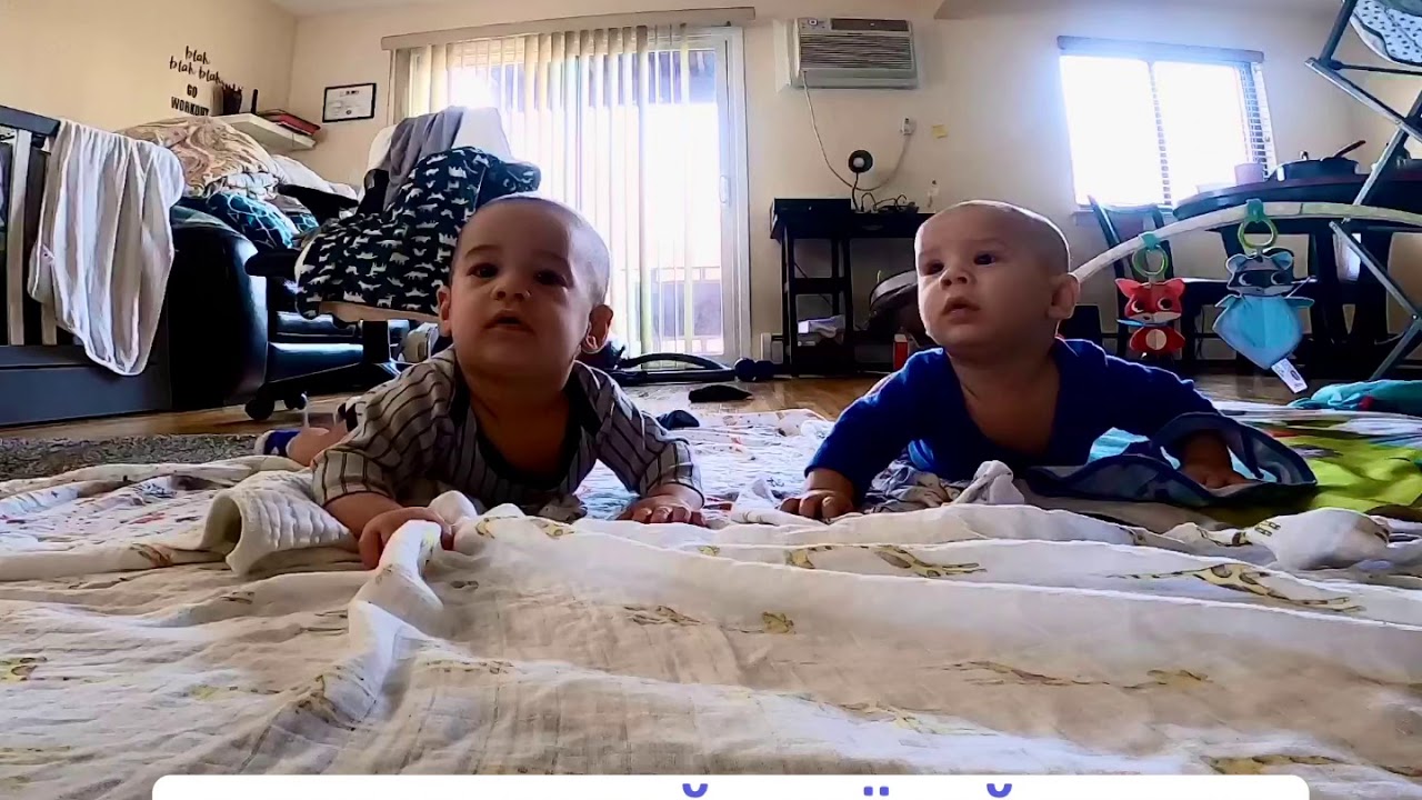 Двойняшки | 6 месяцев | Истрия из жизни сша | twins | 6 month old | funny