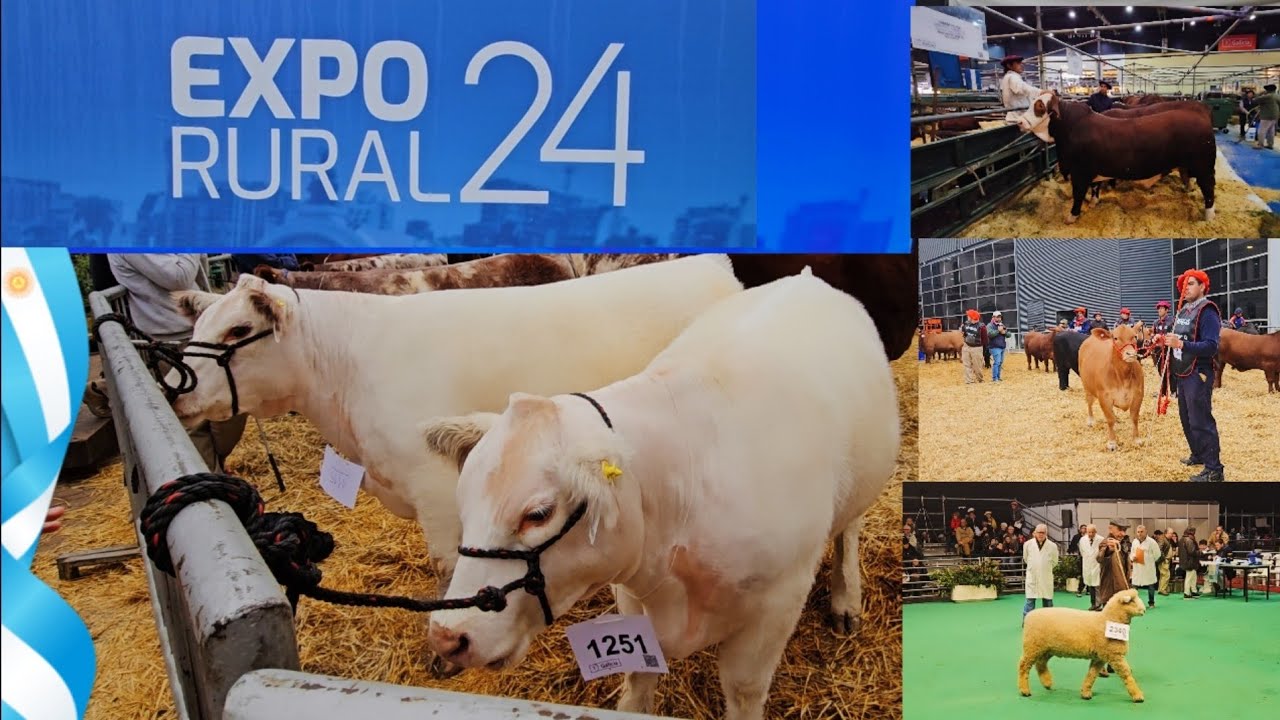 EXPO RURAL 2024🐮🌻 Exposicion de Ganaderia y Agricultura ARGENTINA🇦🇷, Barrio PALERMO BS AS✅️De Paseo