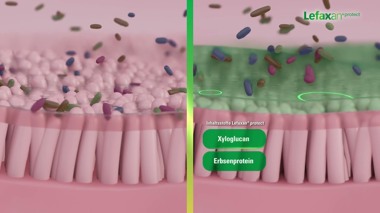 Lefaxan&reg; protect. Zur St&auml;rkung der nat&uuml;rlichen Darmbarriere.