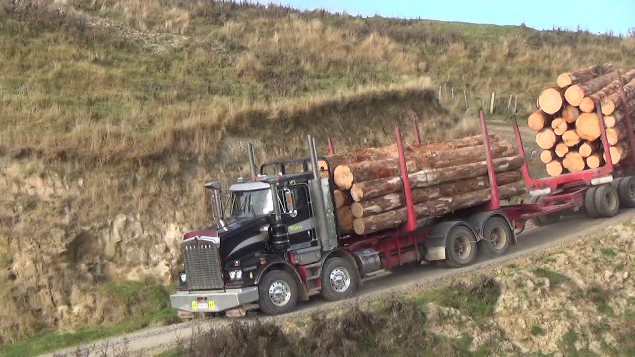 T659 Kenworth driving out of some Rangitikei hill country rewa Mike is the pilot of the truck