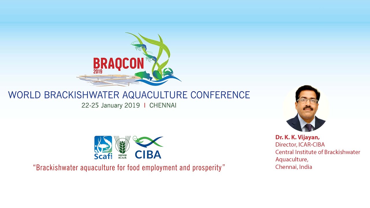 K K  Vijayan | Towards domestication and genetic improvement of native Indian white shrimp.....