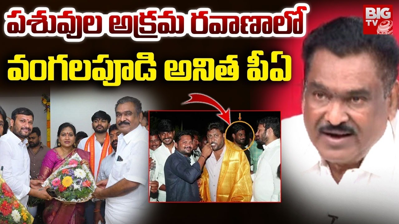 Kakani Babu Controversy | పశువుల అక్రమ రవాణాలో వంగలపూడి అనిత పీఏ | Home Minister Anitha PA | BIG TV