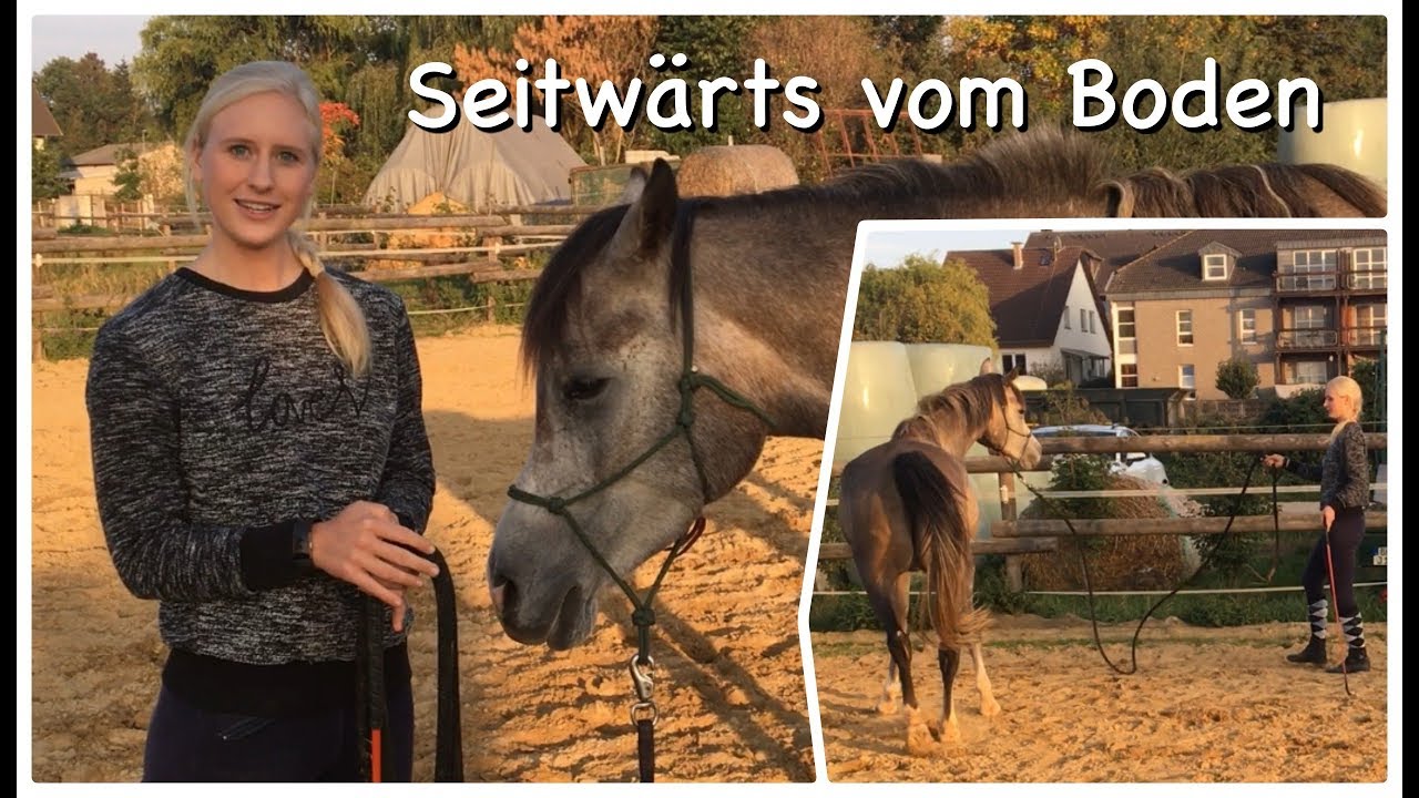 Natural Horsemanship: Seitwärts gehen vom Boden
