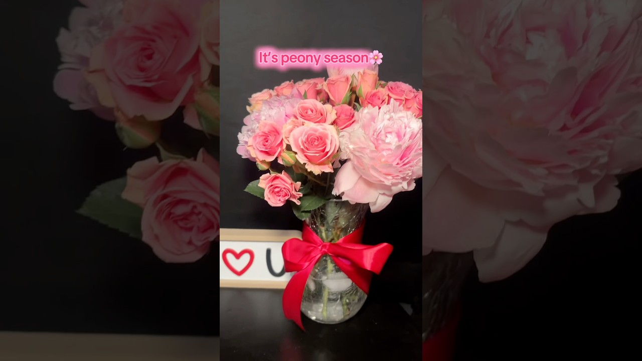 So pretty, can&rsquo;t believe I found them !!! #flores #peony #flowers