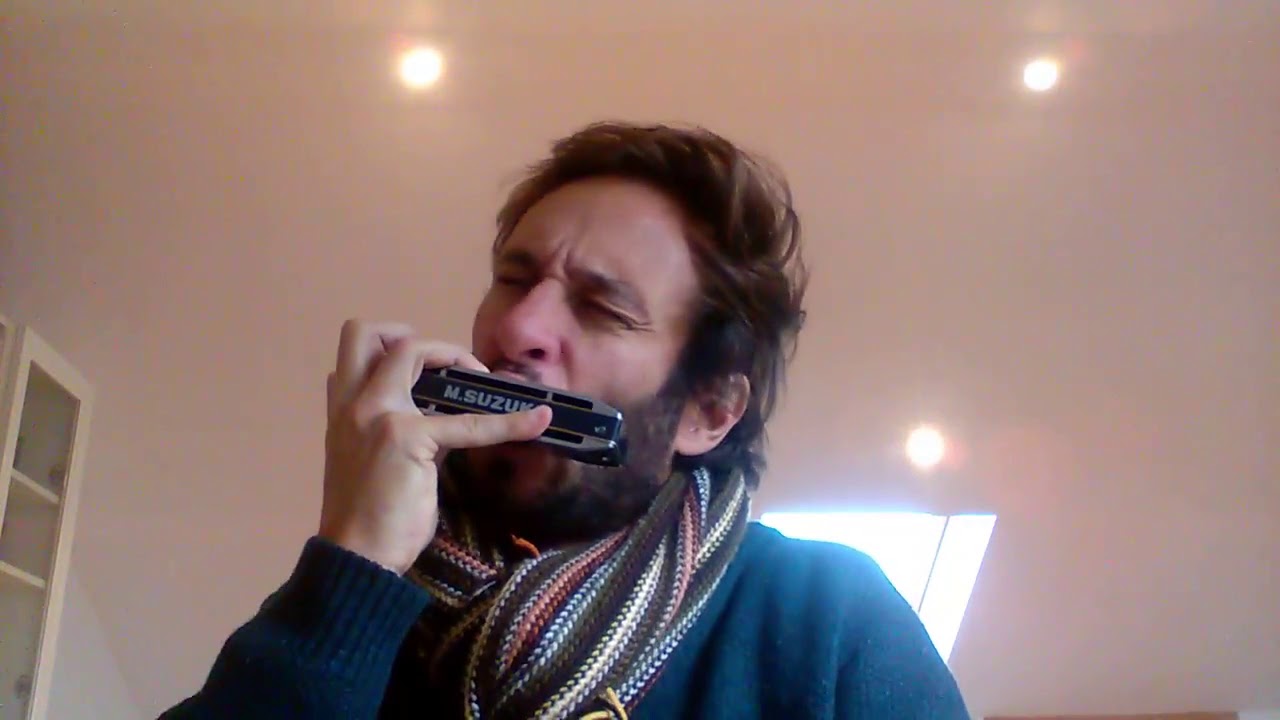 Smile - Charles Chaplin - Gonçalo Sousa piano (left hand) harmonica (right hand)