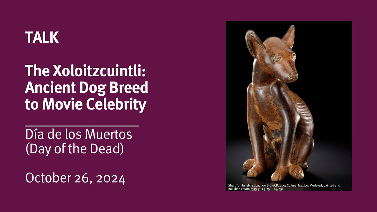The Xoloitzcuintli: Ancient Dog Breed to Movie Celebrity (Día de los Muertos (Day of the Dead) 2024)