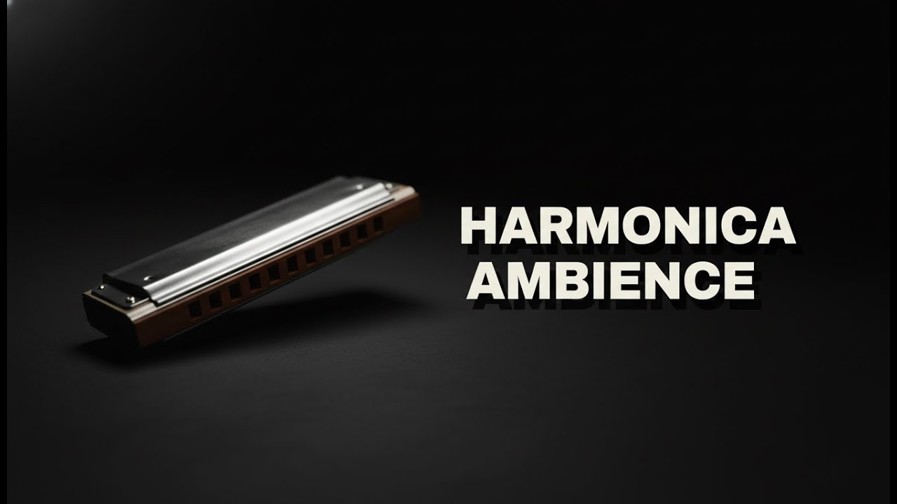 Harmonica Ambience for Calm Focus & Gentle Reflect