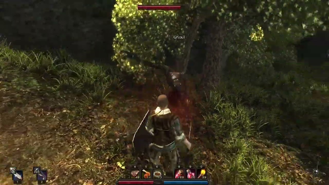 Risen 1 Fight With Ghoul Is so Frustating
