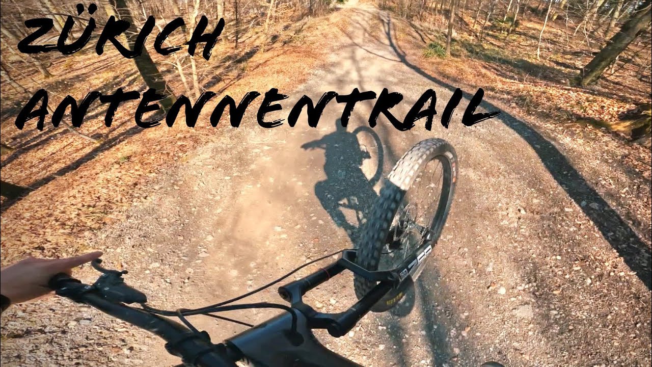 Antennentrail aka Triemli Trail / Zürich 2025