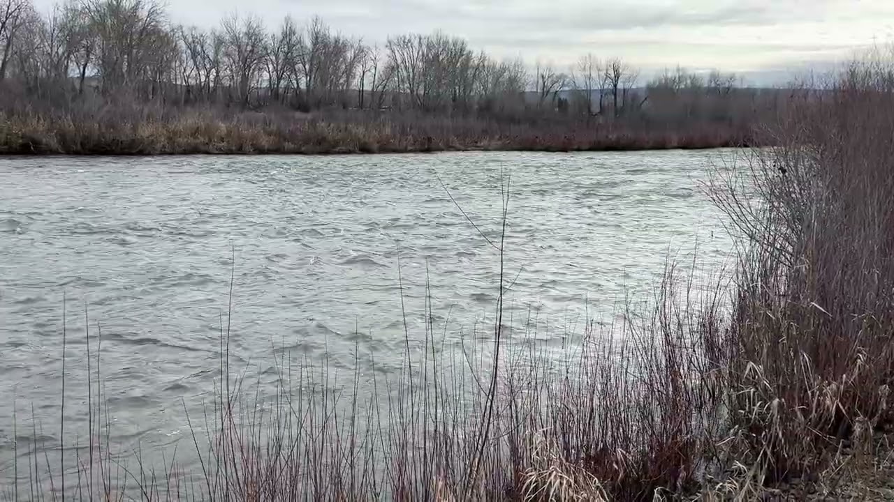 Sitting by the River on a Cloudy Day #nature #river #cloudy #breathe 