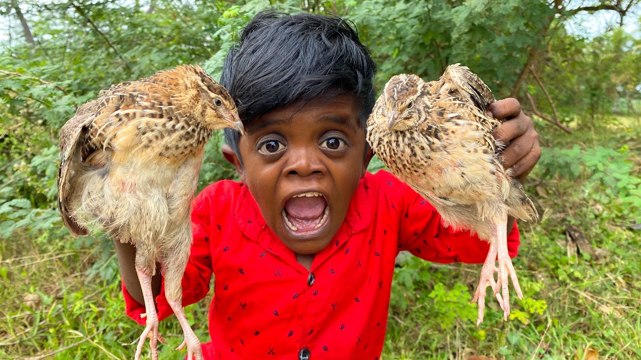 குட்டிபுலி சமைக்கும் சுட்ட காடை கறி | Quail Grill Cooked By Kutti puli | @kuttIpulinanban