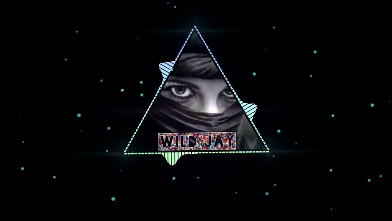 ASEREJE - WILD JAY MOTION_( RMX )