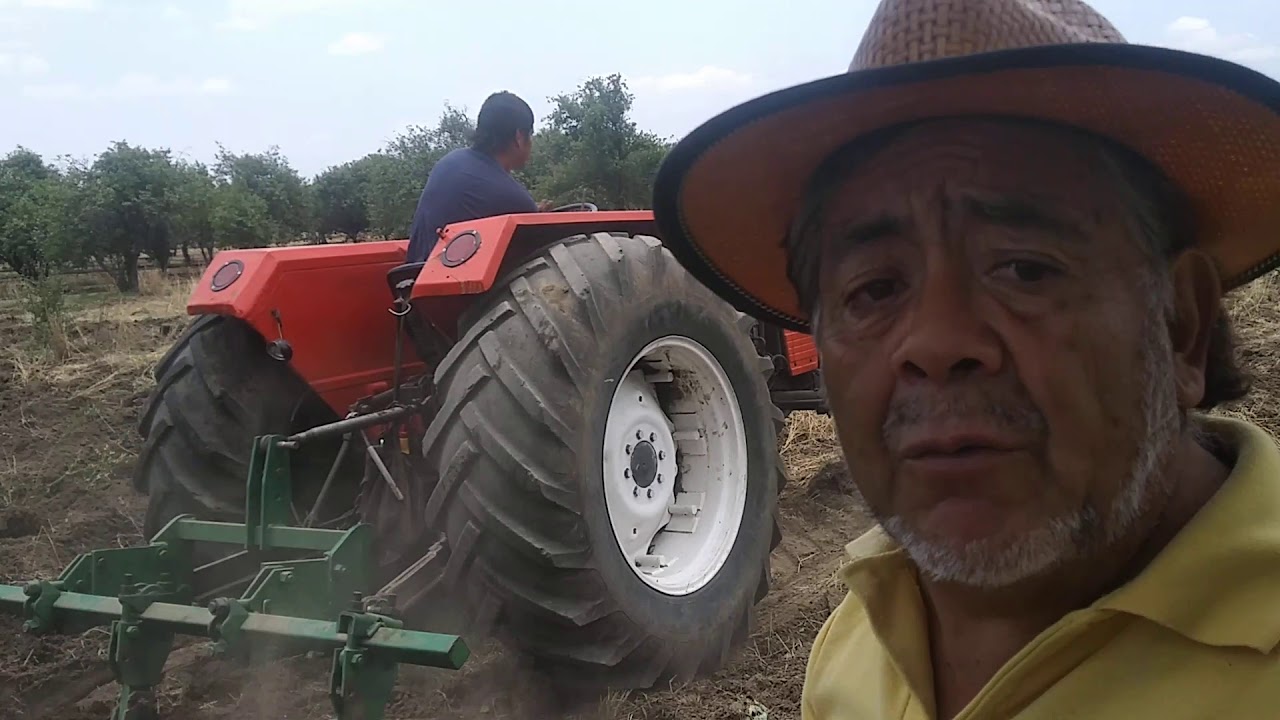 Surcado y sembrado
