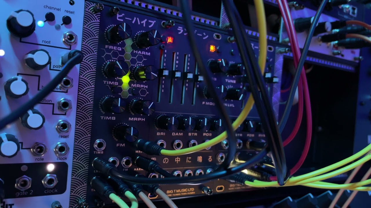 BIG T MUSIC LTD BEEHIVE(MI Plaits clone) first patching - Modular Ambient Patch sketch