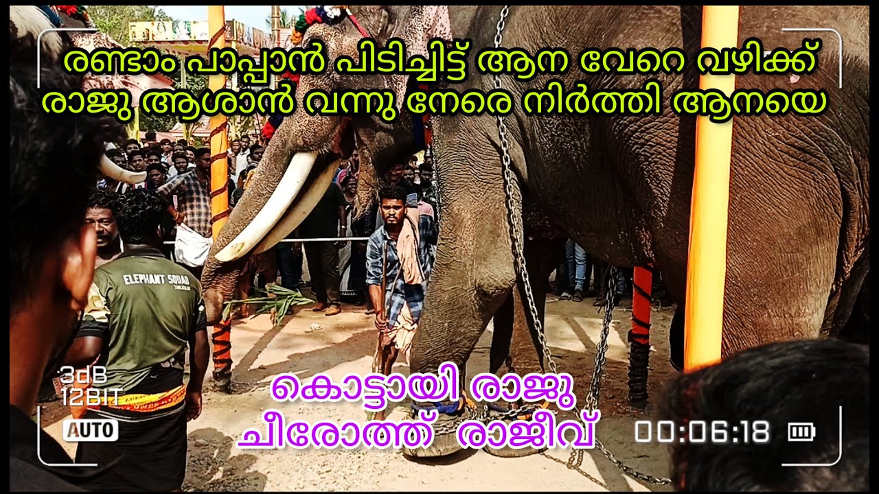 ചീരോത്ത് രാജീവിനെ നിലയ്ക്കു നിർത്തി കൊട്ടായി രാജു.
