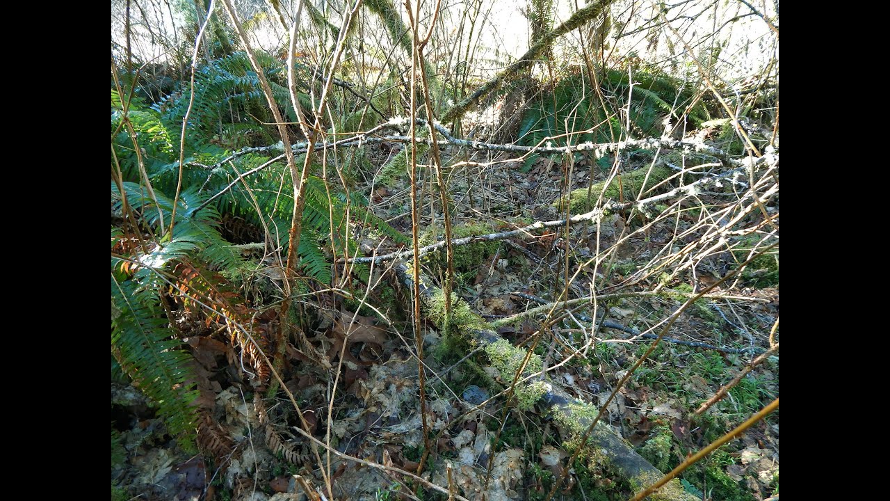 S3E8 Washington State Gold Mining Prospecting a New Creek (No. 2) with Pete