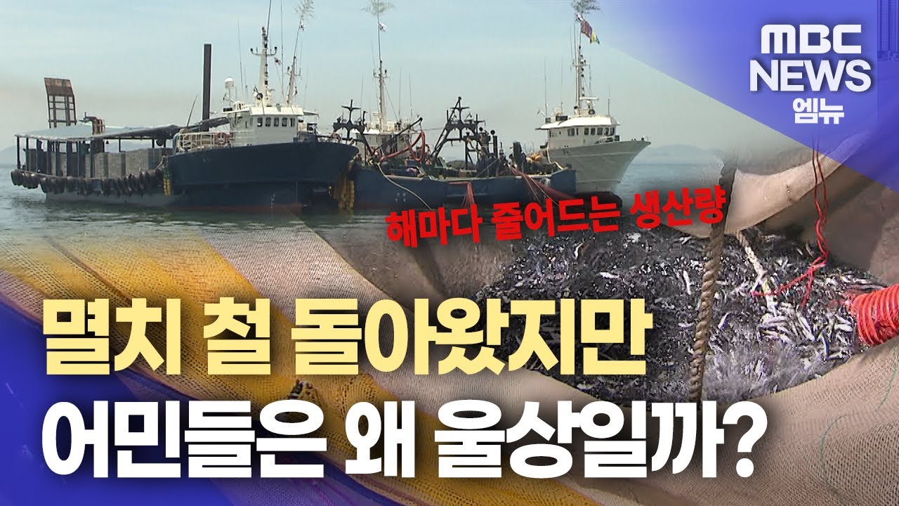 멸치 첫 출어...고수온에 풍력발전까지 이중고 (2025.07.01/뉴스데스크/MBC경남)
