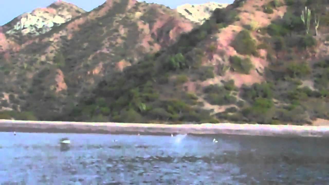 Kokomo - Puerto Ballandra (5 days)