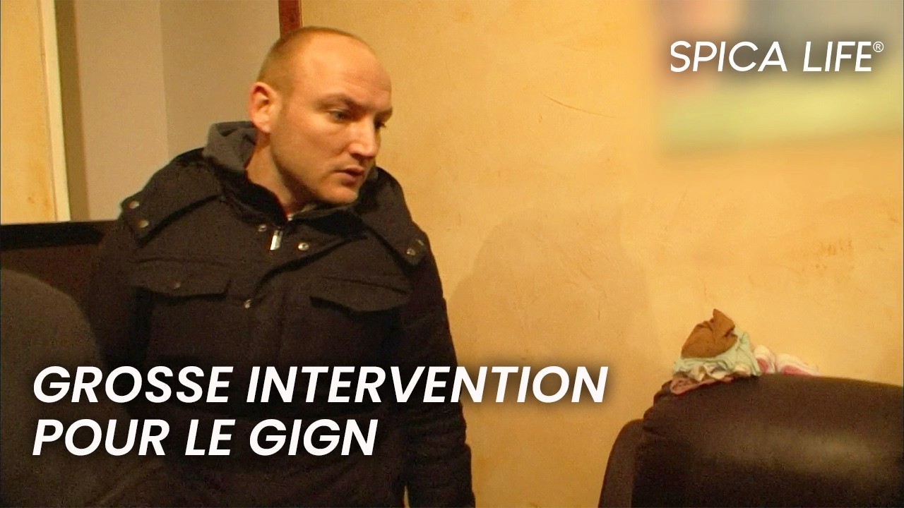 GENNEVILLIERS : perquisitions et face &agrave; face muscl&eacute;e du GIGN