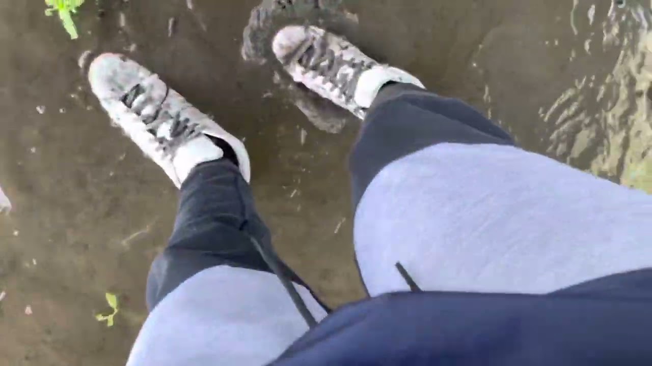 Adidas Pro Model Sneaker in Mud