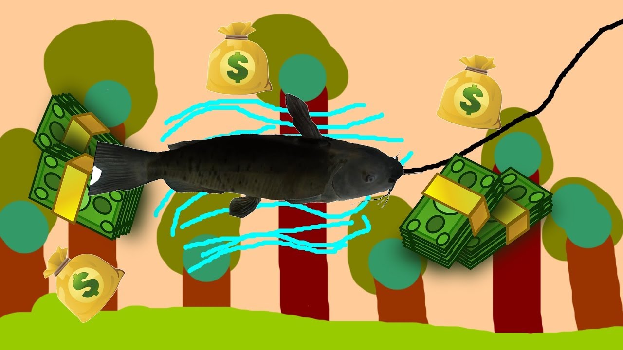 Getüpfelter Gabelwels am Mudwater River | SCHNELLES GELD | FISHING PLANET