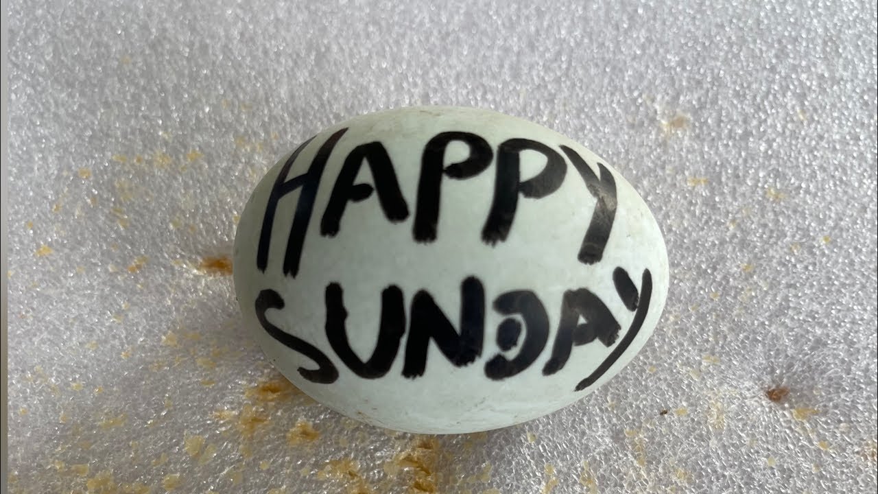 Satisfying Raw Egg Peeling + Name Writing 😮 You Won’t Believe This