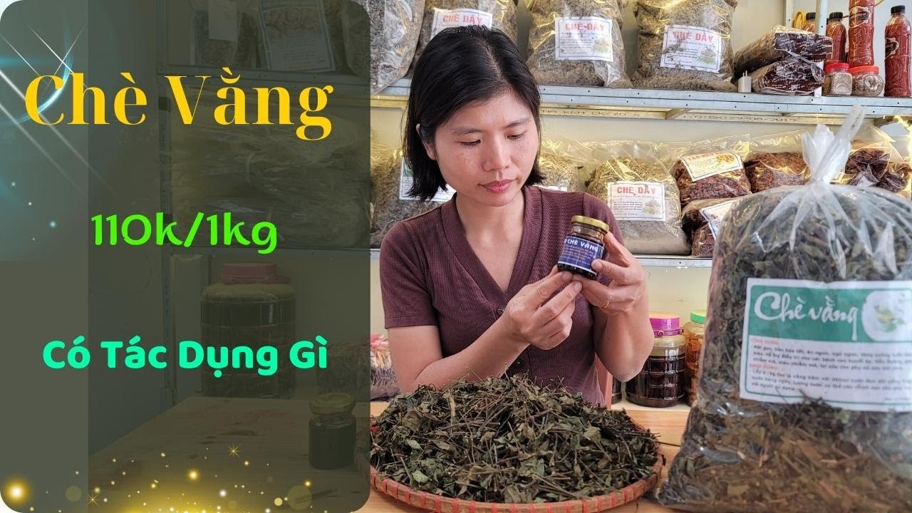 Chè Vằng Có Tác Dụng Gì - Giá Chè Vằng Bao Nhiêu - giá 110k/1kg giá tháng 11/2023  