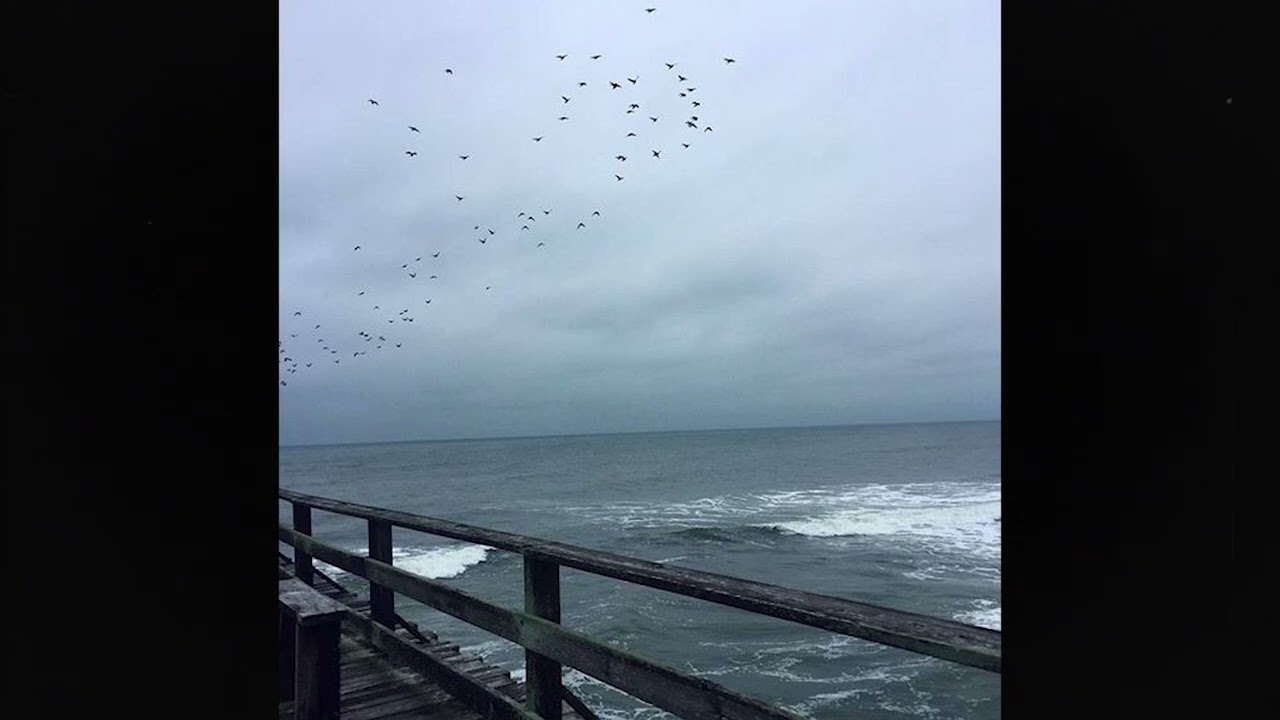 (free) alternative indie rock + post punk + shoegaze type beat ~ 