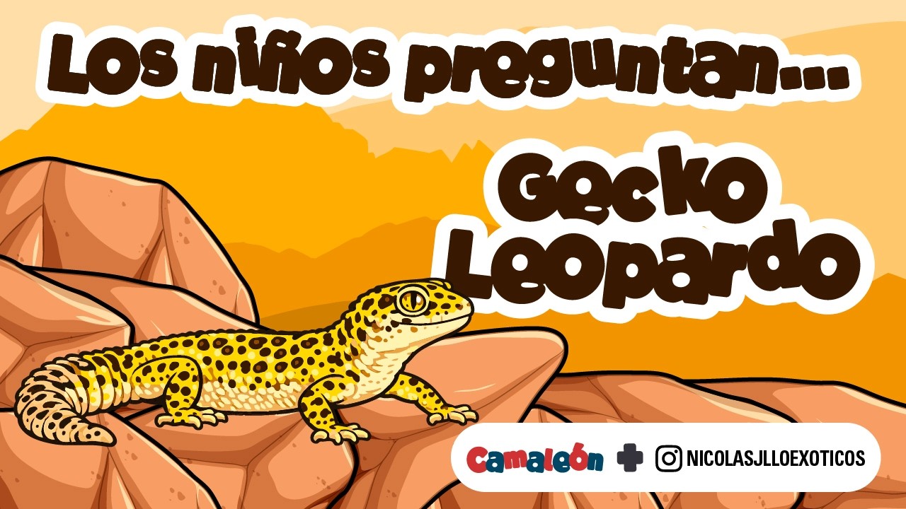 Gecko Leopardo: el reptil terrestre que sí puede parpadear