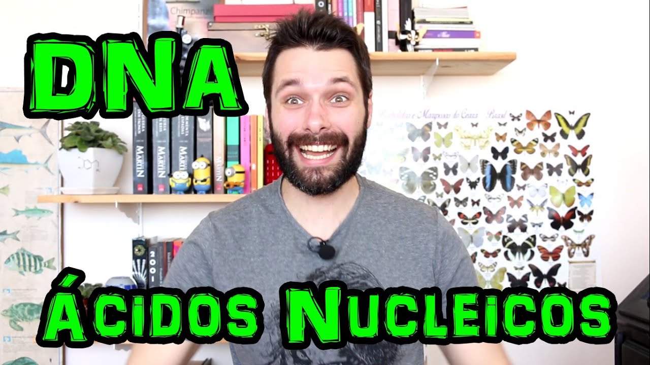DNA - Ácidos Nucleicos - Compostos Orgânicos - Aula Completa