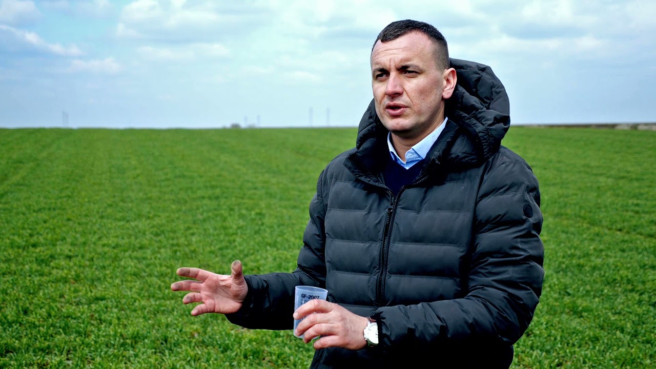 Primena herbicida Lancelot Super, za suzbijanje korova u strnim žitima